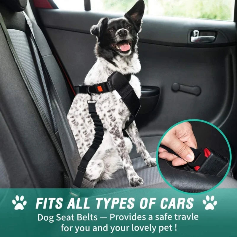 Car Dog Safety Buckle Nylon Seat Belt-4